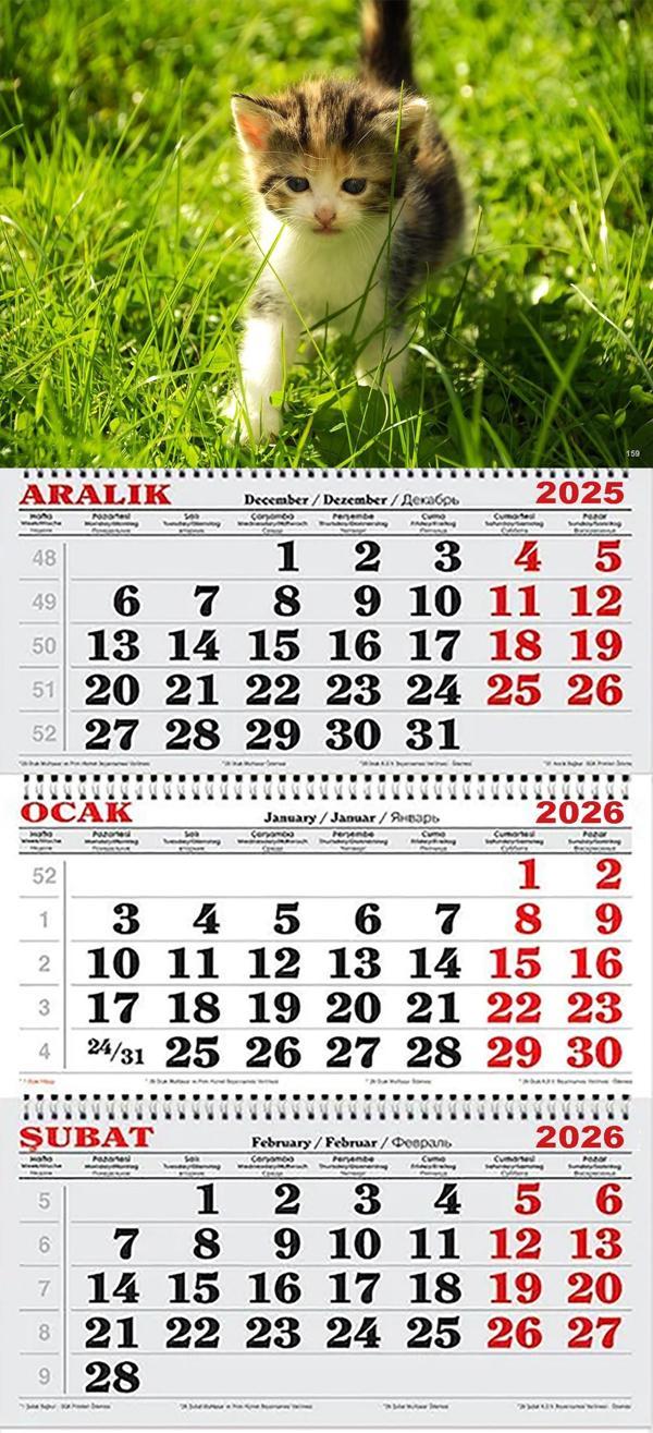 2026 Yılı Gemici Takvimi-Yavru Kedi - Image 1