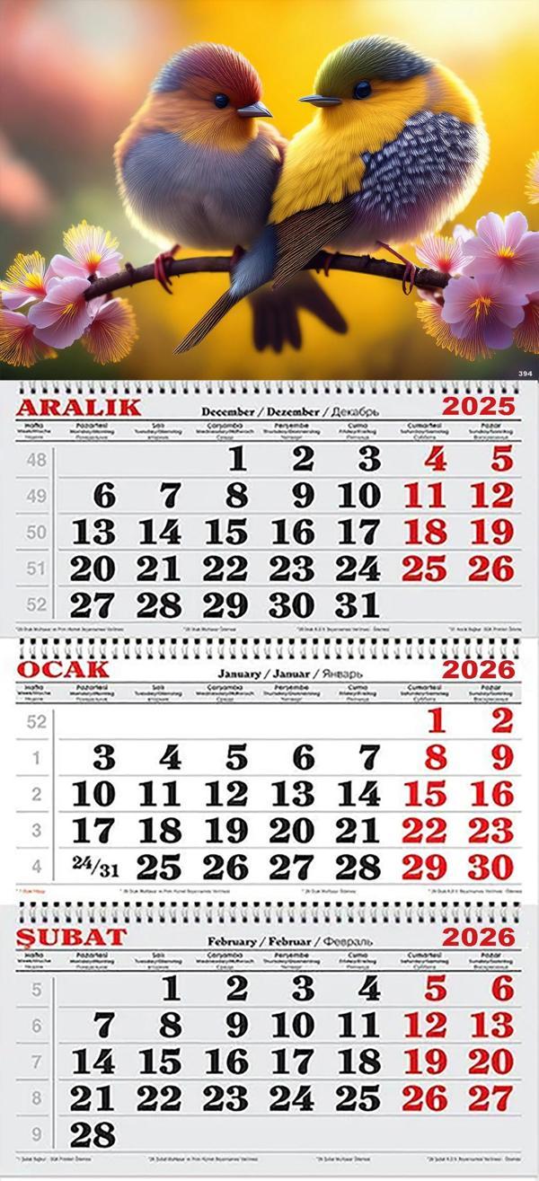 2026 Yılı Gemici Takvimi- Rengarenk Kuşlar - Image 1