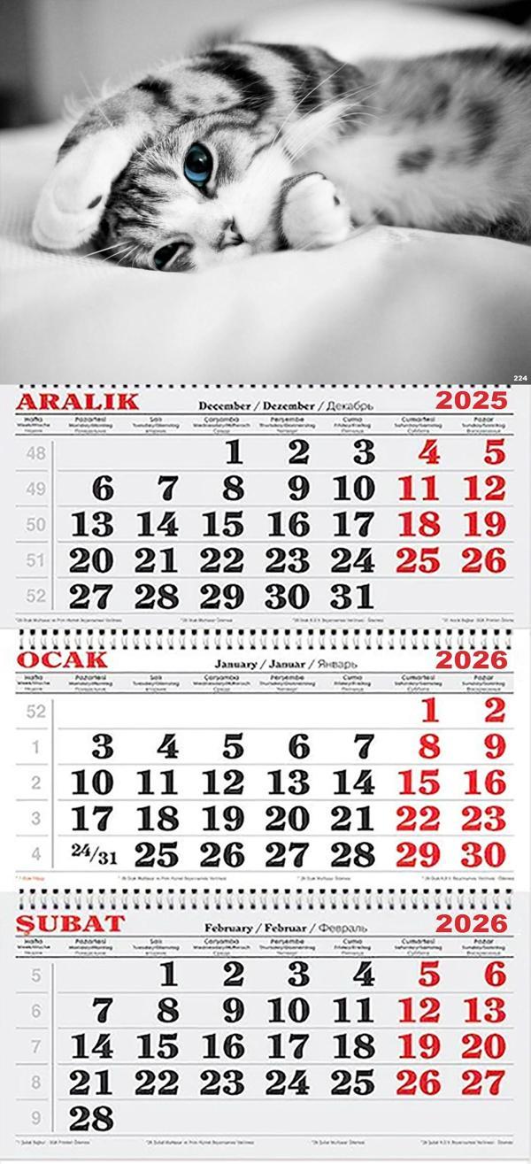 2026 Yılı Gemici Takvimi-Tatlı Kedi - Image 1