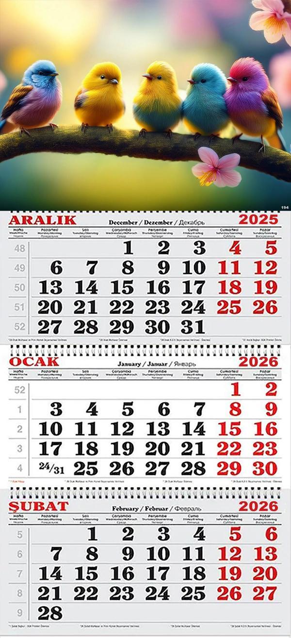 2026 Yılı Gemici Takvimi- Rengarenk Kuşlar - Image 1
