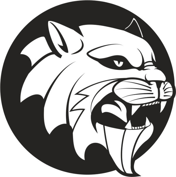 ASLAN 8 FOLYO STİCKER 160cm Uzunluk - Image 1