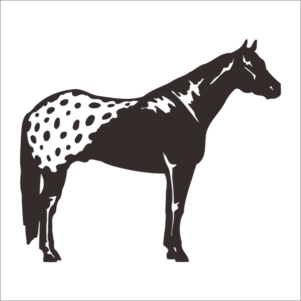 AT FOLYO STİCKER 50cm Uzunluk - Image 1