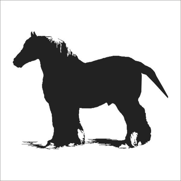 AT FOLYO STİCKER 160cm Uzunluk - Image 1