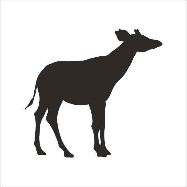 GEYİK FOLYO STİCKER 60cm Uzunluk - Image 1