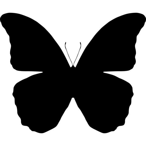 KELEBEK FOLYO STİCKER 20cm uzunluk - Image 1