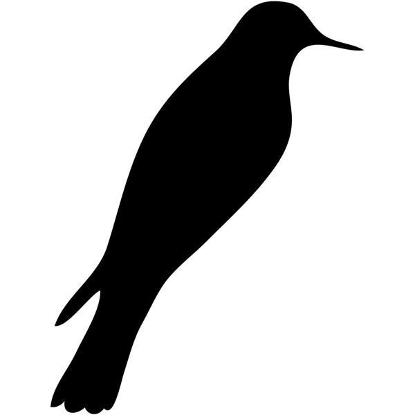 KUŞ FOLYO STİCKER 100cm Uzunluk - Image 1