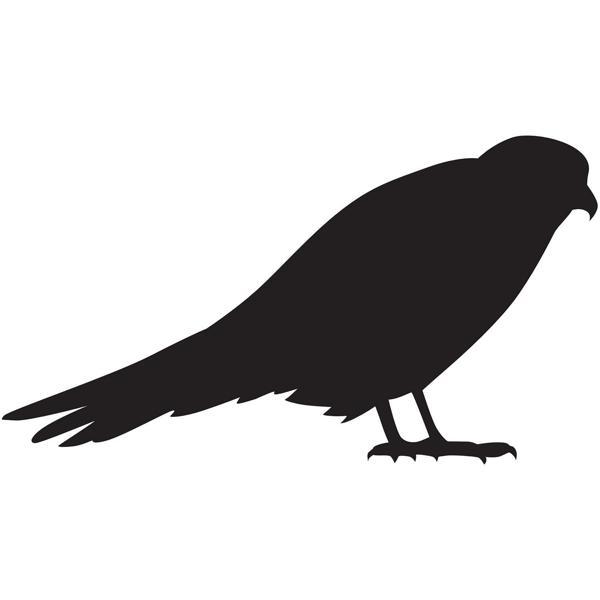 KUŞ FOLYO STİCKER DERSTV937 100cm Uzunluk - Image 1