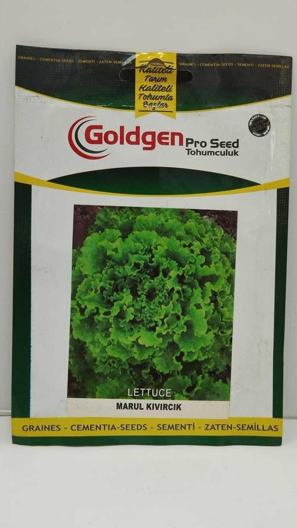 Marul(Kıvırcık) Tohumu - Image 1