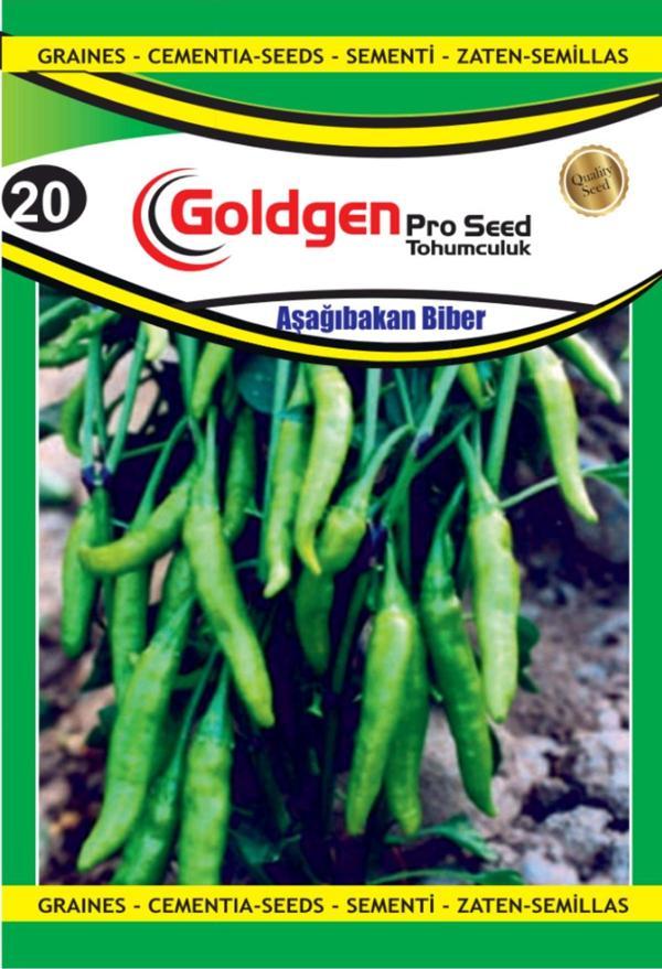 Biber Aşağı Bakan Tohumu - Image 1