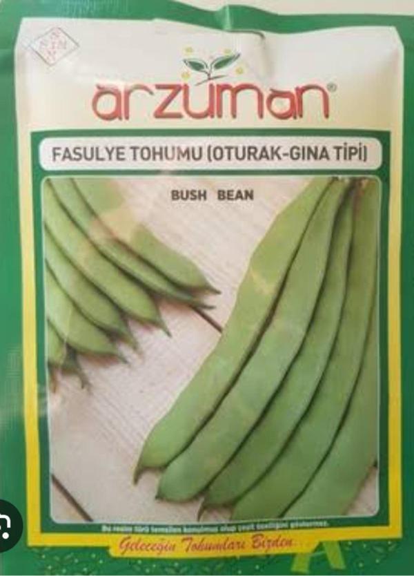 Fasulye Tohumu Oturak Gına Tipi - Image 1