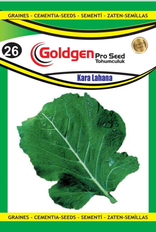 Karadeniz Lahanası - Image 1