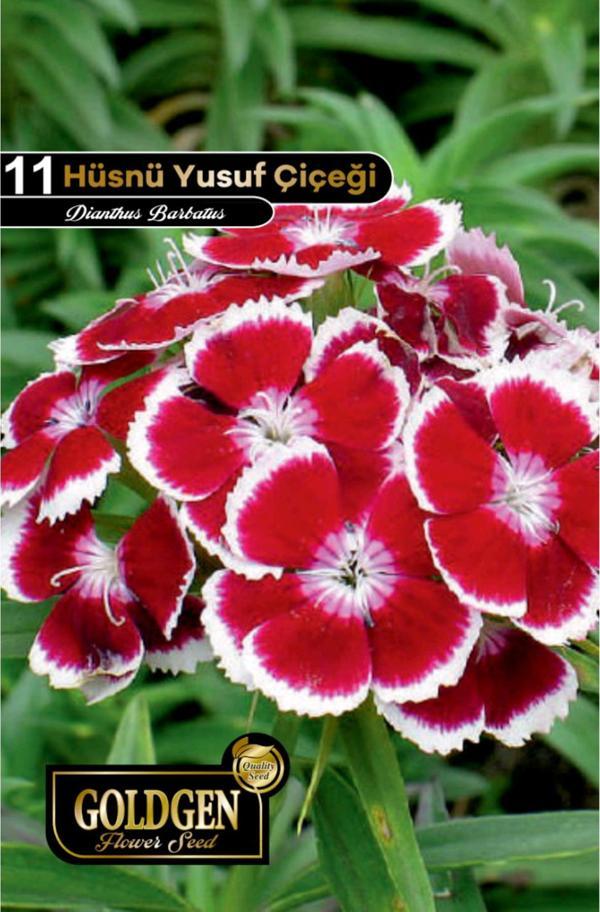 Hüsnü Yusuf Çiçeği Tohumu - Image 1