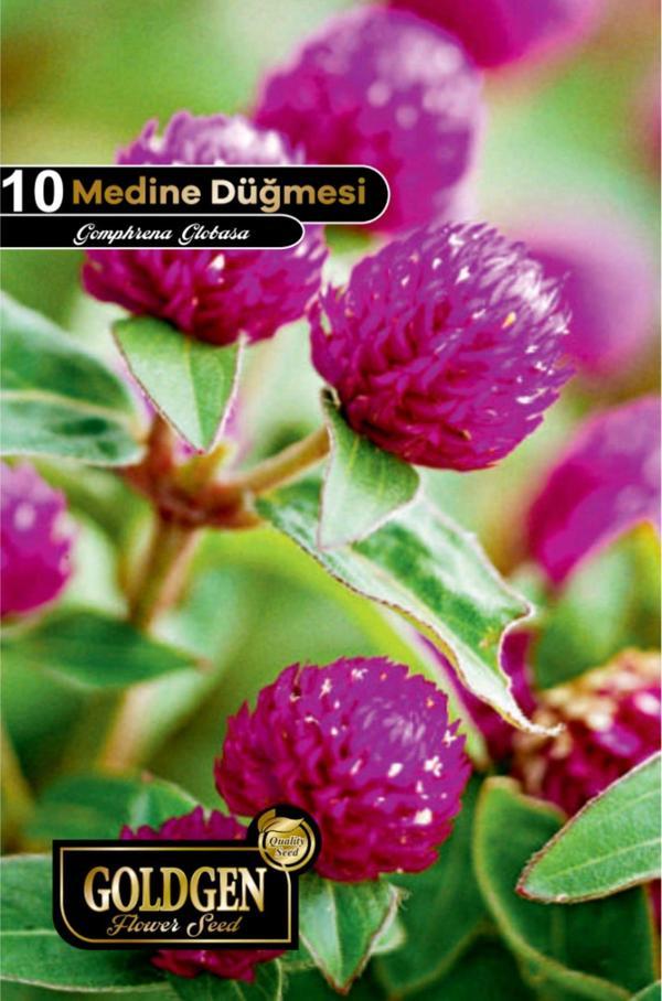 Medine Düğmesi Tohumu - Image 1