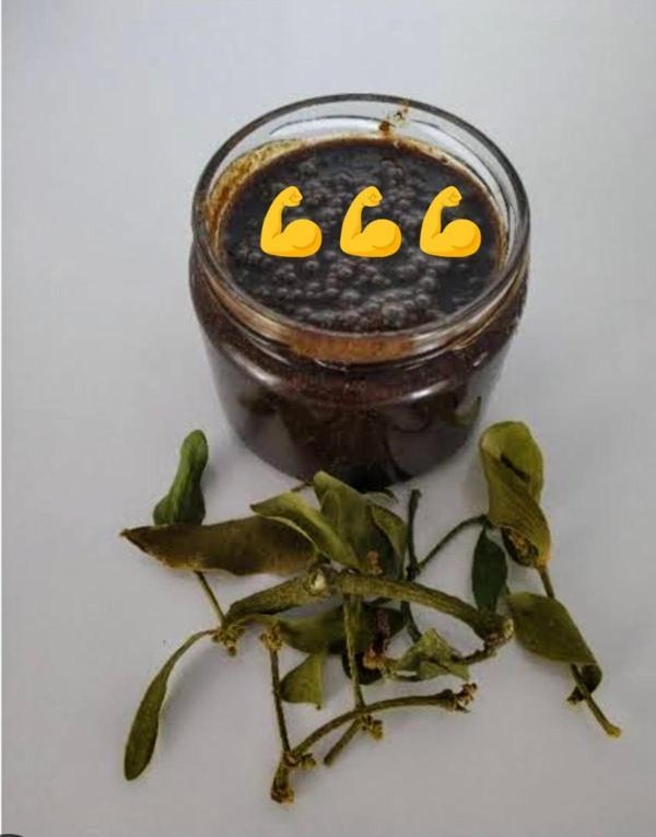 Bol Mesir-İ Padişah Macunu 260Gr(Etiketsiz) - Image 1