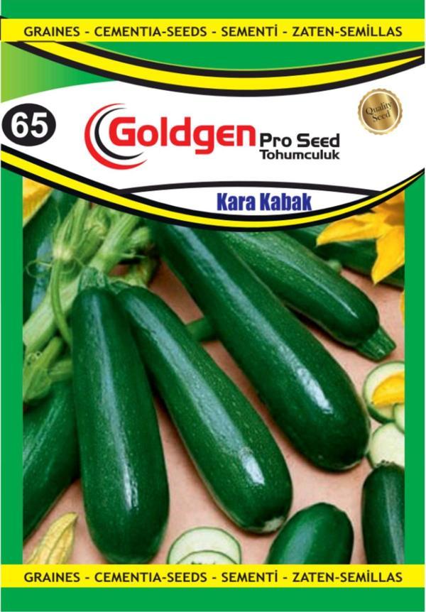 Kara Kabak Tohumu - Image 1