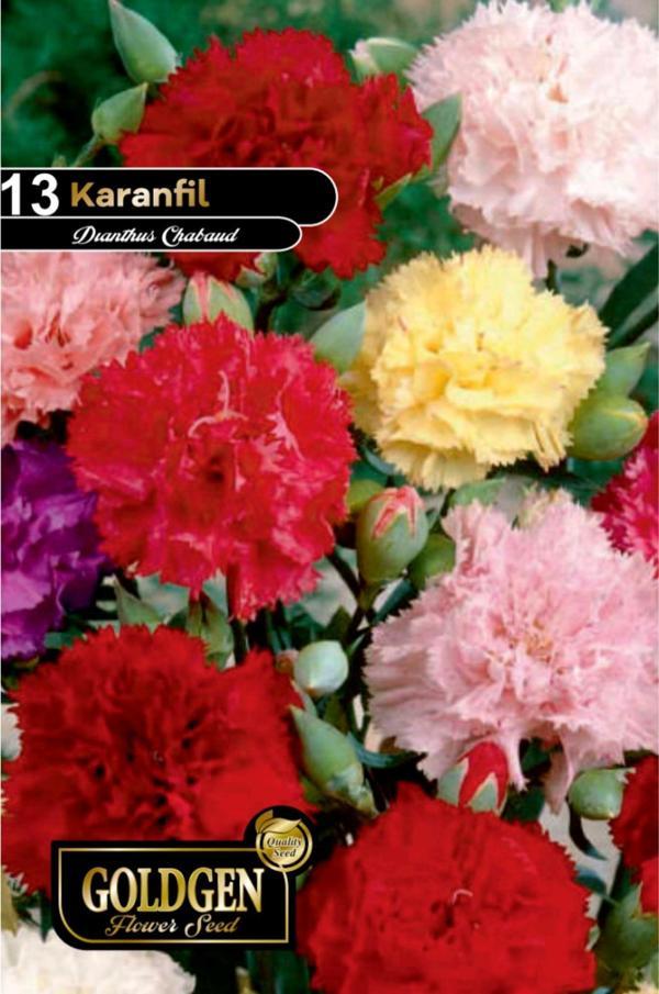 Karanfil Tohumu - Image 1