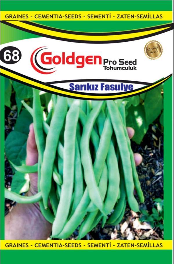 Sarıkız Fasulye Tohumu - Image 1