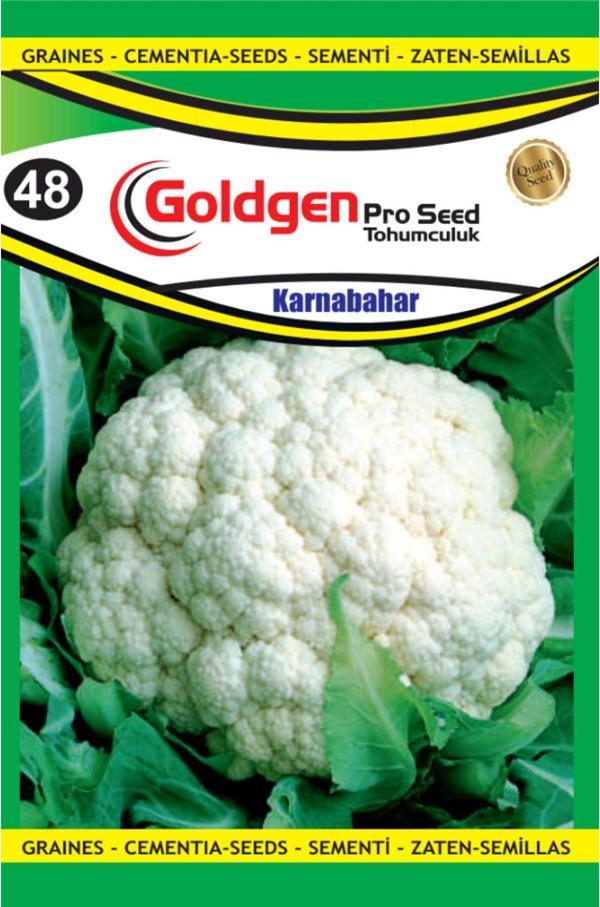 Karnıbahar Tohumu - Image 1