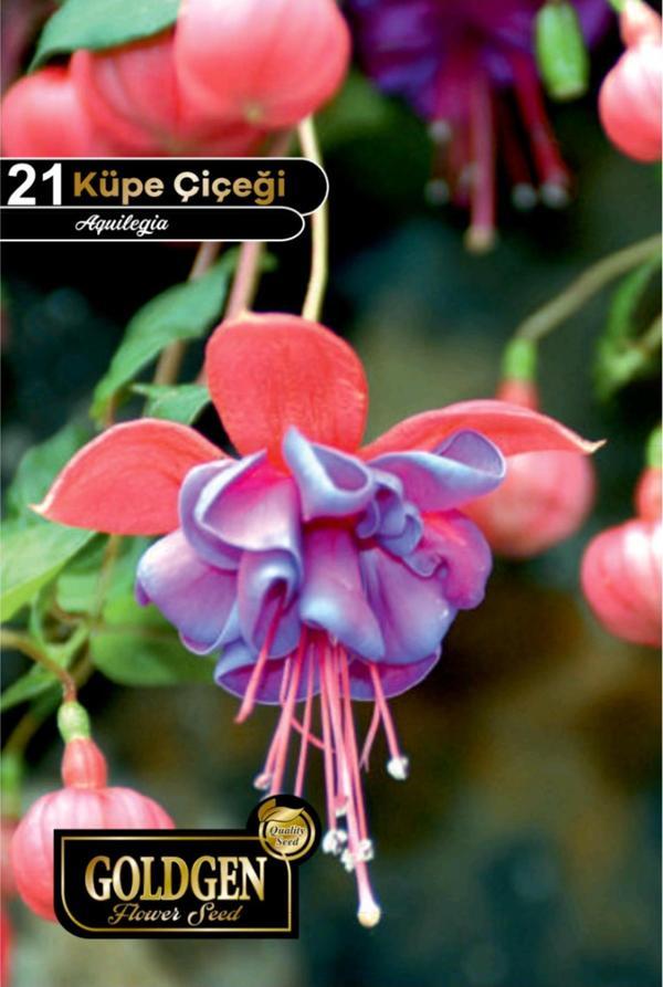 Küpe Çiçeği Tohumu - Image 1