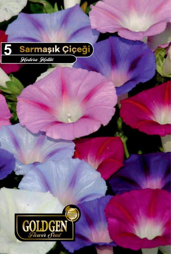 Sarmaşık Tohumu - Image 1