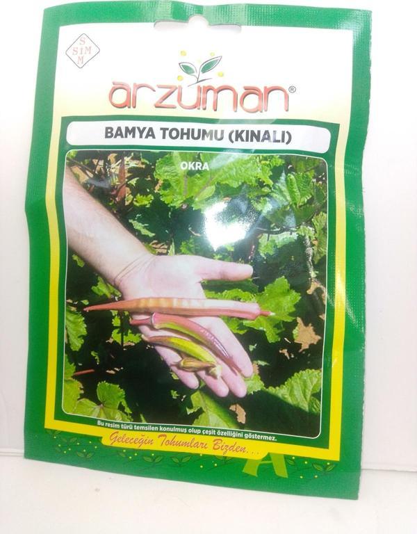 Bamya Tohumu (Kınalı) - Image 1
