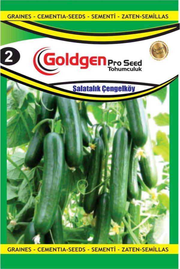 Çengelköy Salatalık Tohumu - Image 1