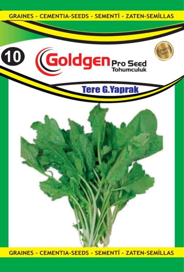 Tere (Geniş Yaprak) Tohumu - Image 1