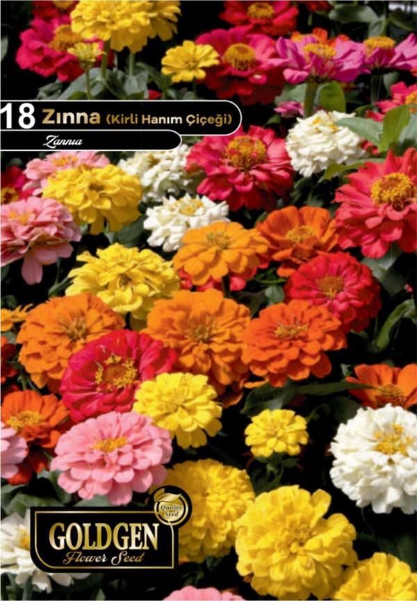 Zinna Çiçeği Tohumu - Image 1