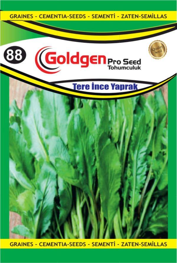 Tere (İnce Yaprak) Tohumu - Image 1