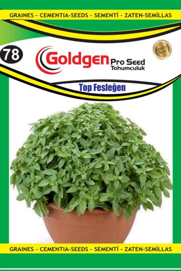 Top Fesleğen Tohumu - Image 1