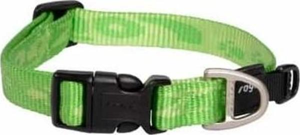 Rogz Alpinist Halsband L Lime Boyun Tasması - Image 1