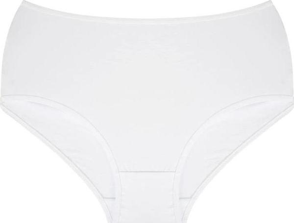 Giyim Kadın Büyük Beden Külot Beyaz 40264 - Image 1