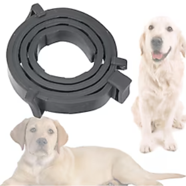 Mucit Home Köpek Pire ve Bit Kovucu Engelleyeci Tasma Boyunluk 62 cm - Image 1