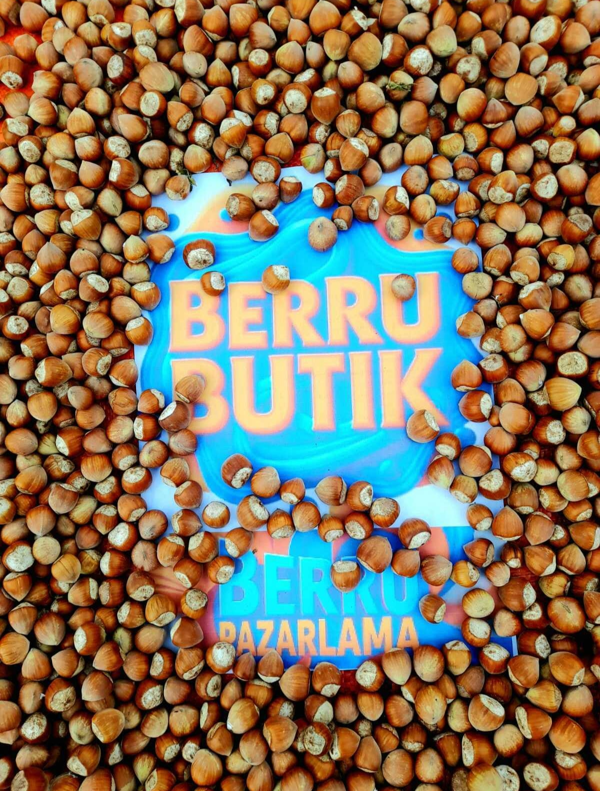 Organik Fındık - Doğal Fındık - Kabuklu Giresun Fındığı - Image 1