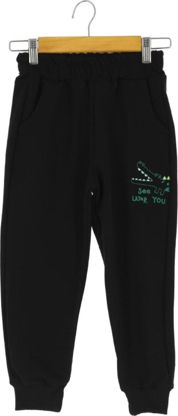 DİNOZOR SEE LATER YOU NAKIŞLI 30/150 2 İP ERKEK EŞOFMAN ALT Siyah - Image 1