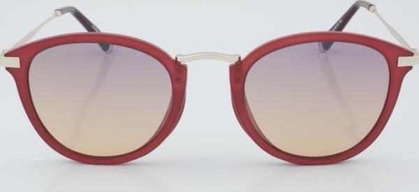 U.S. Polo Assn. USS 0059 C4 49 - 01 Güneş Gözlüğü - Image 1