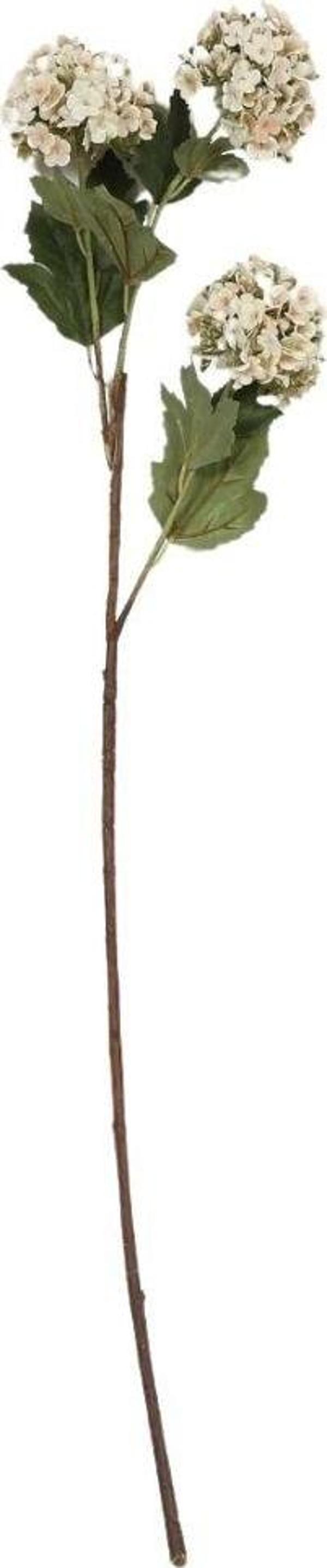 Vitale Kartope Cream Yapay Çiçek 22*90*9 cm AK.JZ0016 - Image 1