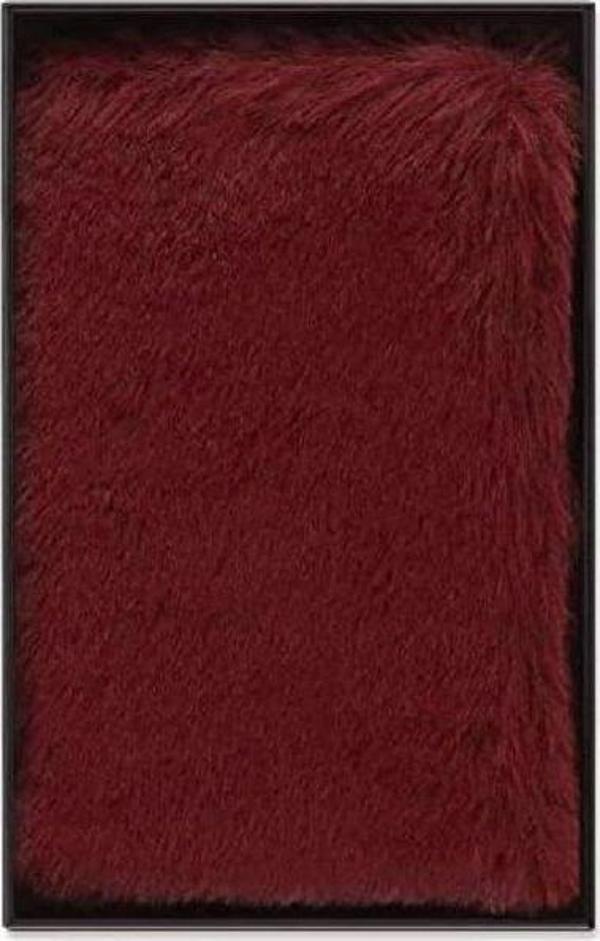 Moleskine Lc Nb Fur 22 Xs Pla Maple Red Box - Image 1
