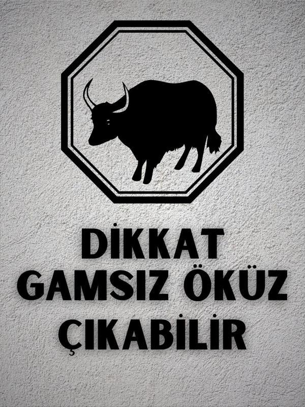 "Dikkat Gamsız Öküz Çıkabilir" Esprili Dekoratif Ahşap Tablo - Image 1