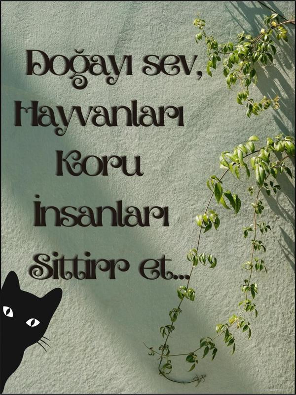 Doğa ve Hayvanseverler İçin Esprili Ahşap Dekoratif Tablo - Image 1