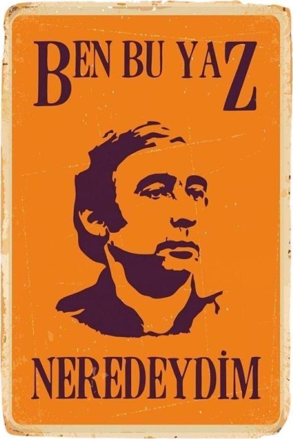 Şener Şen Ben Bu Yaz Neredeydim Ahşap Retro Vintage Poster - Image 1