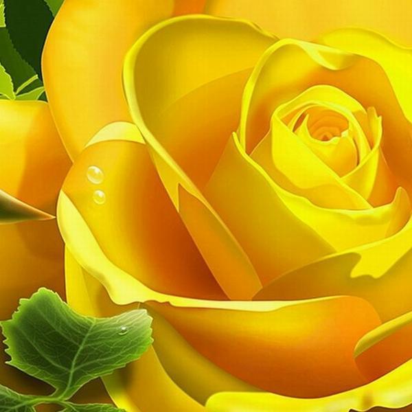 25 Adet Sarı Gül Çiçek Tohumu + 10 Adet Hediye Uyku Çiçeği Tohumu - Image 1