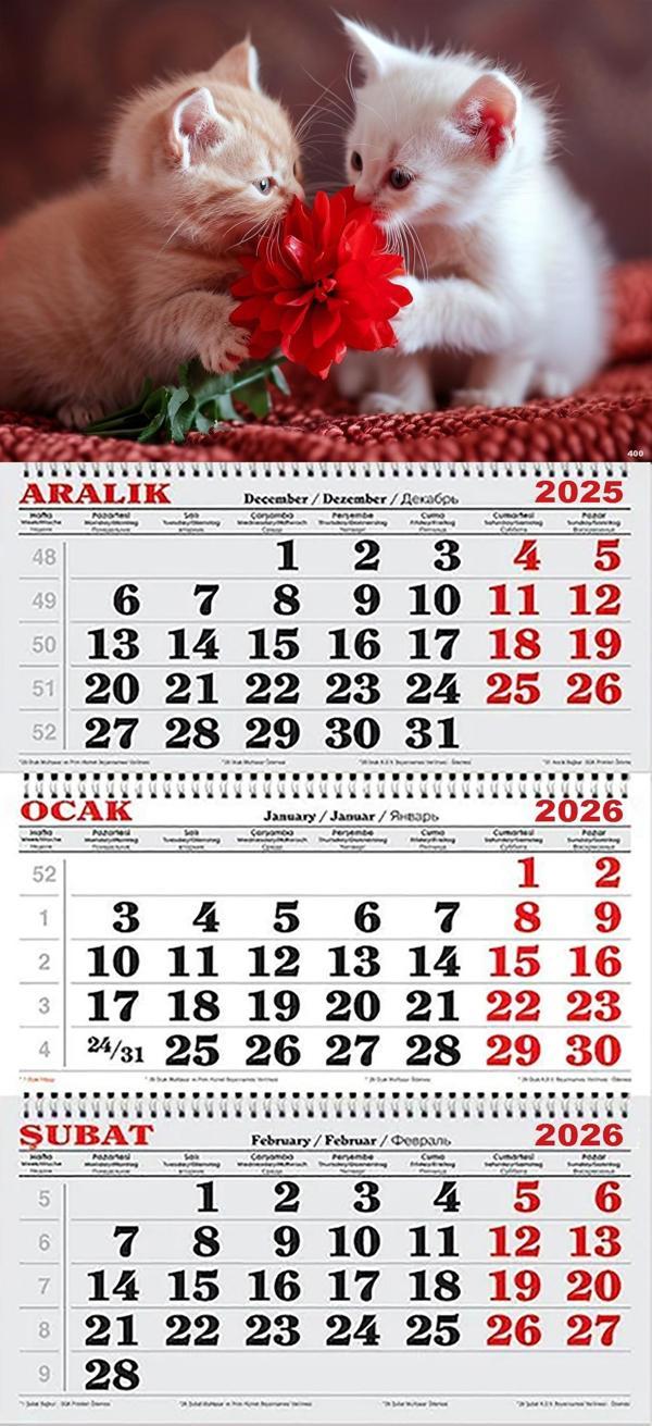 2026 Yılı Gemici Takvimi- Yavru Kediler ve Kırmızı Çiçek - Image 1