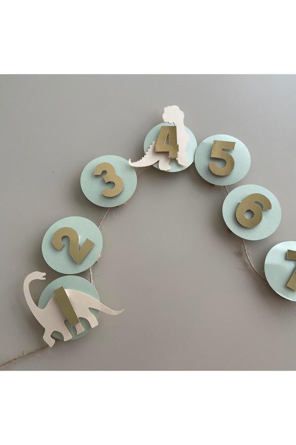 Wenuca Party Shop Dinazor Konsept 12 Ay Bannerı, 12 Aylık Fotoğraf Kartları - Image 1