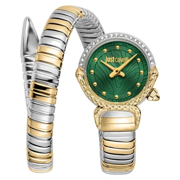 Just Cavalli JC1L350M0065 Kadın Kol Saati - Image 1
