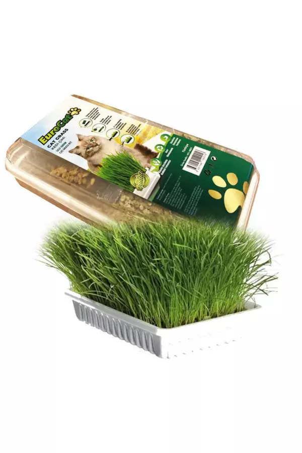 Kedi Çimi - Image 1