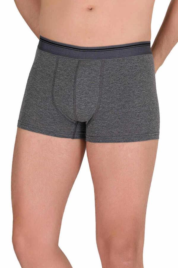 biçomi Likralı Erkek Büyük Beden Boxer Şort Füme 1097B - Image 1