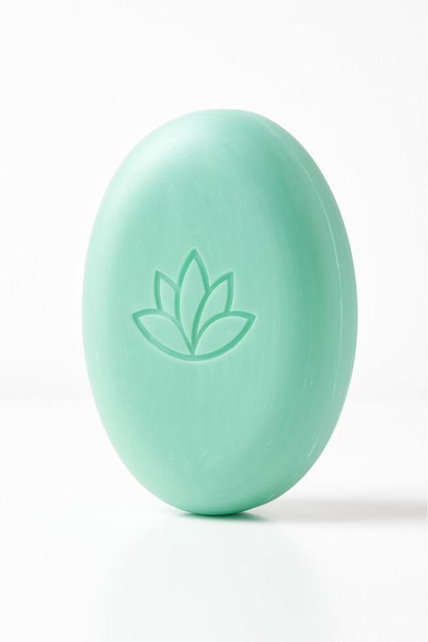 Miss Aura Yağlı Ve Kepekli Saç Problemleri İçin Termal Su İçeren Yatıştırıcı Humik Asit Şampuanı 300 Ml - Image 1