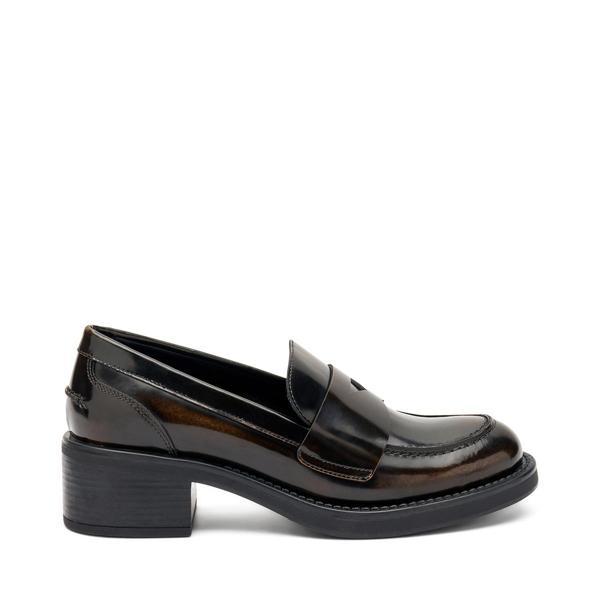 Kadın Oxford ( Klasik) 82U1 Frau BRUSH Tortora - Image 1