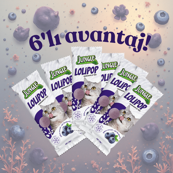 Jungle Kedi Lolipop Yabanmersinli  1,5 g * 6'lı Avantaj Paketi! - Image 1